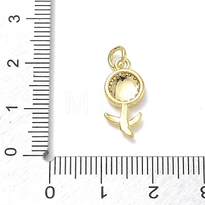 Brass with Rhinestone Pendants KK-CBAD872-01G-05-1