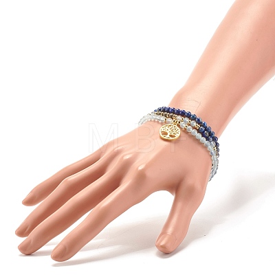 Stone Stretch Bracelets Set BJEW-JB07331-1