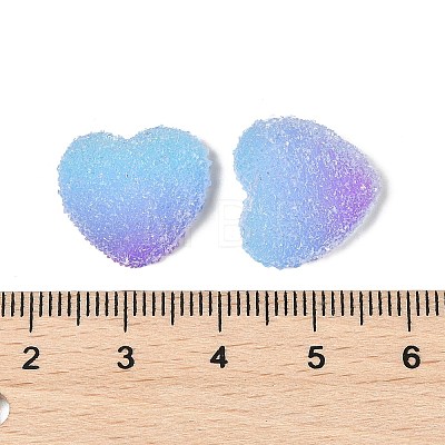 Imitation Candy Food Style Resin Cabochons RESI-R461-01J-1