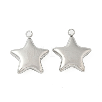 304 Stainless Steel Pendants STAS-S186-01B-P-1