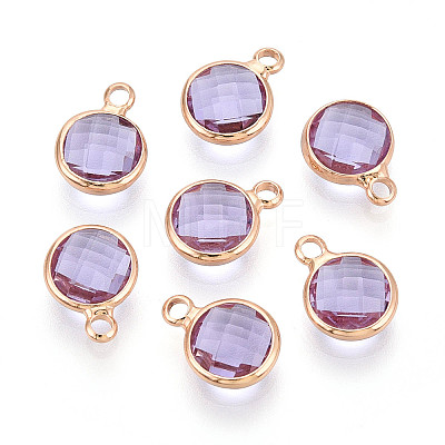 Golden Tone Brass Glass Charms GLAA-ZX008-24I-G-1
