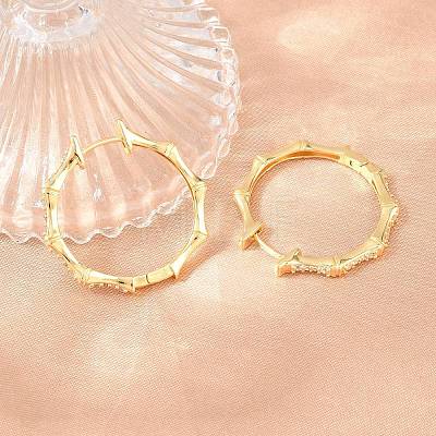 Brass Micro Pave Cubic Zirconia Hoop Earrings EJEW-P346-07G-01-1
