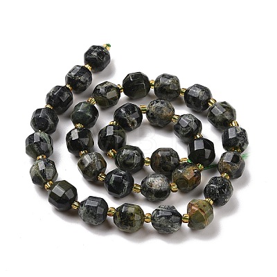 Natural Kambaba Jasper Beads Strands G-I338-04B-1