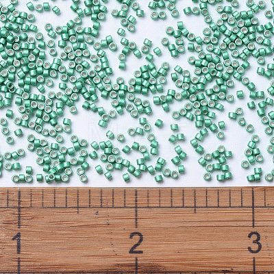 MIYUKI Delica Beads X-SEED-J020-DB1182-1
