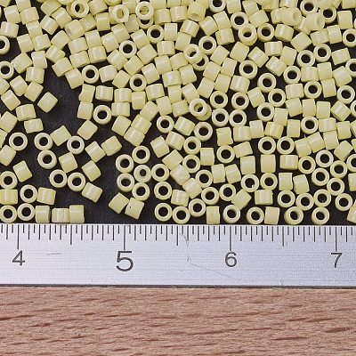 MIYUKI Delica Beads SEED-J020-DB2101-1