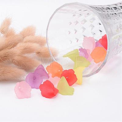 Mixed Transparent Acrylic Flower Beads X-PL551M-1