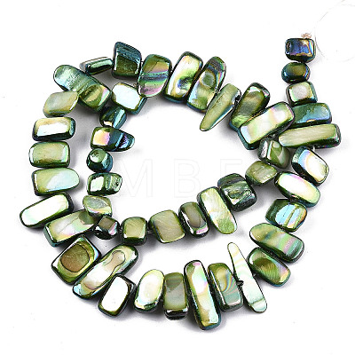 Natural Freshwater Shell Beads Strands X-SHEL-N026-123E-1