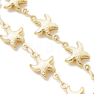 Ocean 304 Stainless Steel Starfish Link Chain Bracelet Making AJEW-JB01552-1