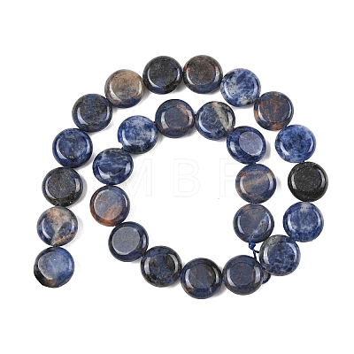 Natural Sodalite Beads Strands G-L648-B07-15mm-1