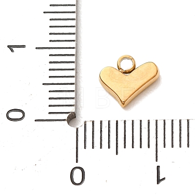 304 Stainless Steel Micro Pave Clear Cubic Zirconia Charms CU-CBAB6EC-06G-1