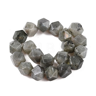 Natural Labradorite Beads Strands G-T138-37-1