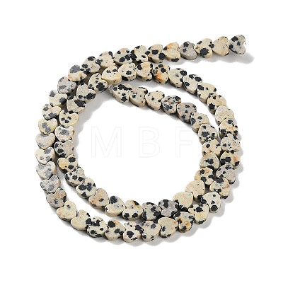 Natural Dalmatian Jasper Beads Strands G-M403-A31-02-1