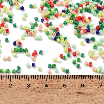 Baking Paint Glass Seed Beads X-SEED-S042-05B-51-1