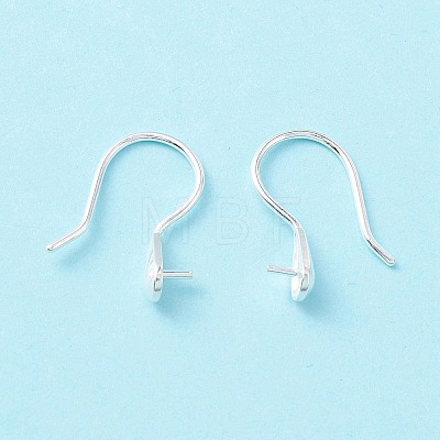 925 Sterling Silver Earring Hooks STER-P047-01A-S-1