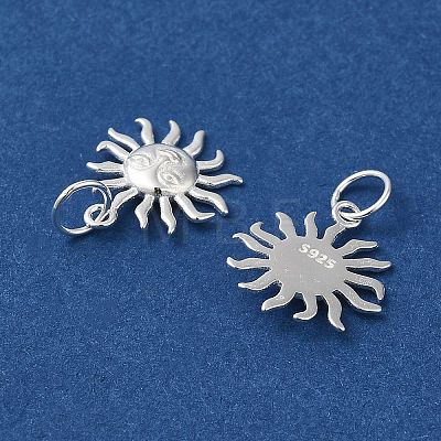 925 Sterling Silver Charms STER-NH0001-33S-1