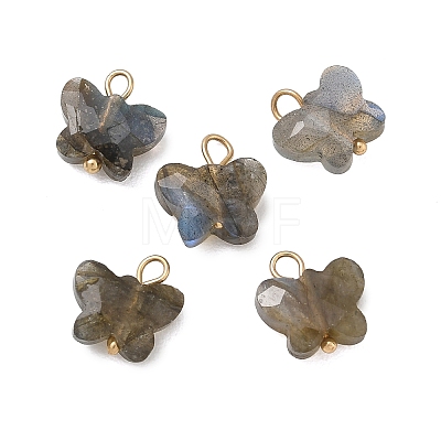 Natural Labradorite Pendants KK-D289-61G-05-1
