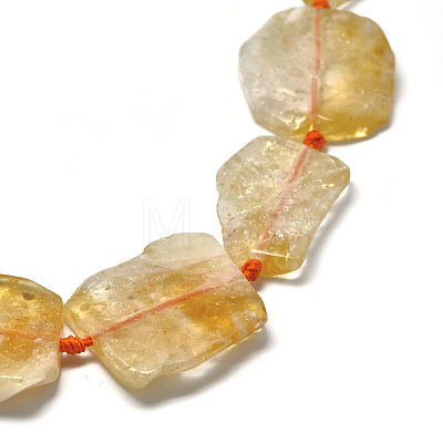 Natural Citrine Beads Strands G-E401-H04-1