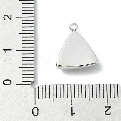 304 Stainless Steel Rhinestone Pendants STAS-L022-447P-1