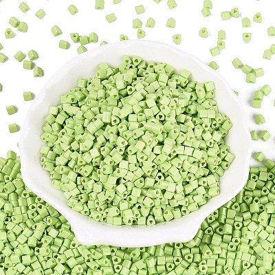 FGB Baking Paint Glass Seed Beads SEED-Q040-09A-11-1