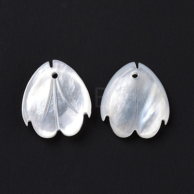 Natural White Shell Charms SSHEL-C011-07A-1