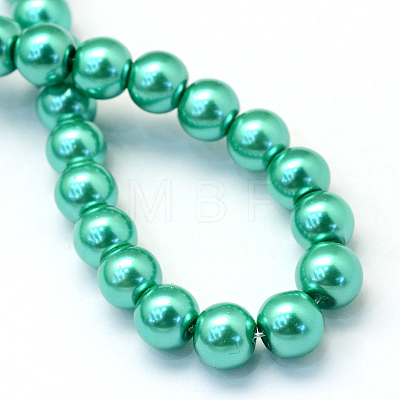 Baking Painted Pearlized Glass Pearl Round Bead Strands HY-Q003-14mm-29-1