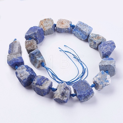 Natural Lapis Lazuli Beads Strands G-G543-01-1
