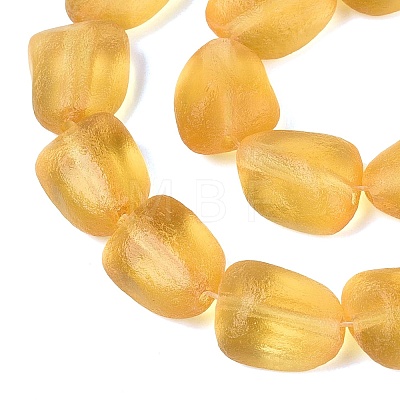 Frosted Handmade Lampwork Beads Strands LAMP-Q041-06D-1