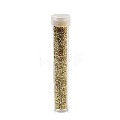 Plastic Glitter Powder Fillers LS-AJEW-H144-01A-1
