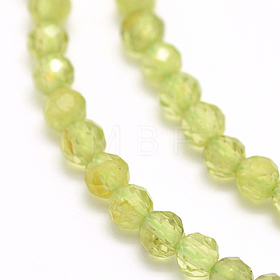 Natural Peridot Beads Strands G-F509-12-3mm-1