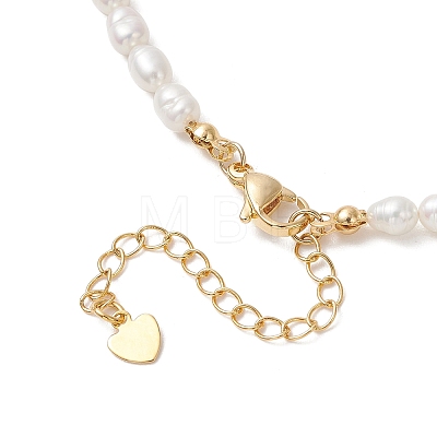 Natural Cultured Freshwater Pearl Necklaces for Women NJEW-JN05940-1