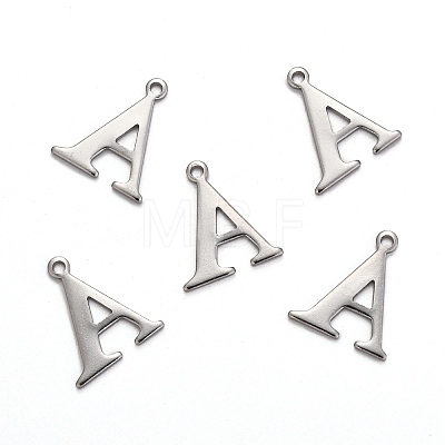 304 Stainless Steel Charms STAS-H122-A-P-1