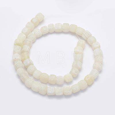 Natural Agate Beads Strands G-G705-10mm-04-1