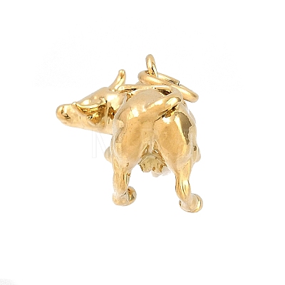 Brass Pendants KK-CBA855A-01G-02-1