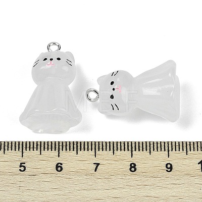 Luminous Resin Pendants RESI-R460-01A-1