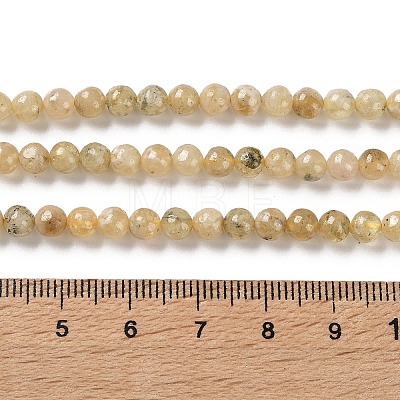 Natural Yellow Garnet Beads Strands G-Z129-C01-5mm-01-1