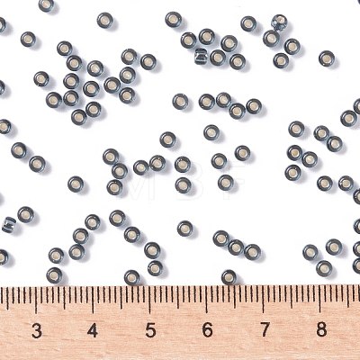 MIYUKI Round Rocailles Beads X-SEED-G008-RR0021-1