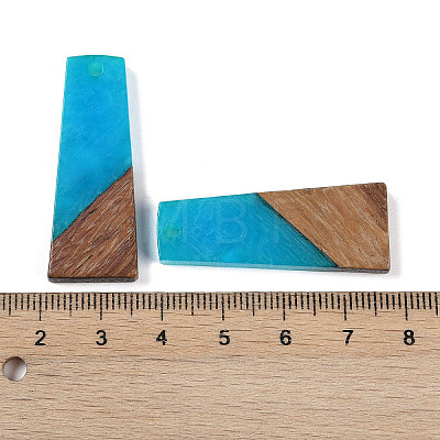 Resin & Wood Pendants WOOD-F015-04G-1