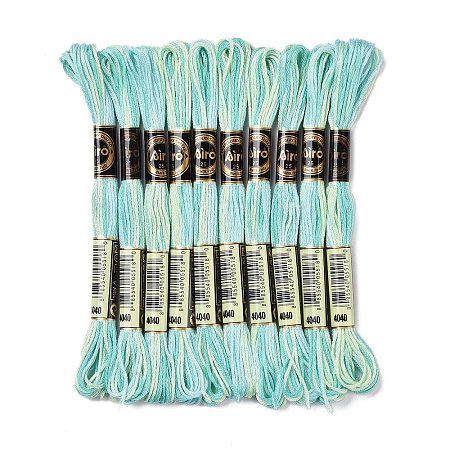 10 Skeins 6-Ply Polyester Embroidery Floss OCOR-K006-A26-1