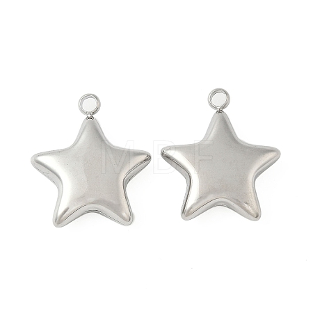 304 Stainless Steel Pendants STAS-S186-01B-P-1