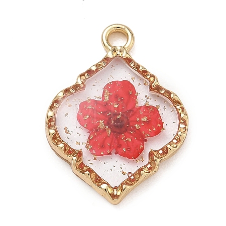 Alloy Epoxy Resin Pendants AL-Z001-08G-06-1