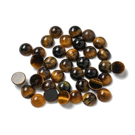Natural Tiger Eye Cabochons G-Q173-01B-13-1