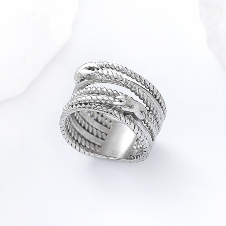 304 Stainless Steel Twisted Wire Design Finger Rings DM2174-1-1