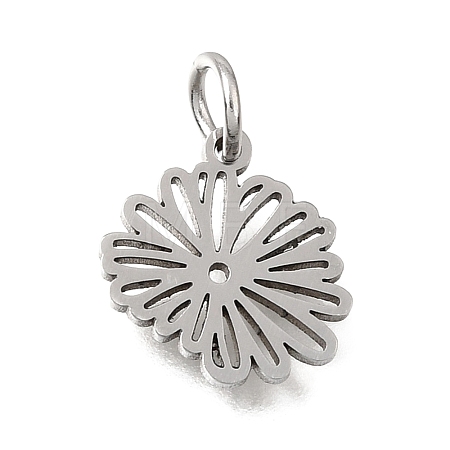 304 Stainless Steel Charms SA-CBA4CE0-01P-H-1