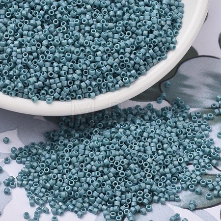 MIYUKI Delica Beads X-SEED-J020-DB2315-1