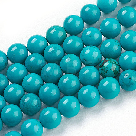 Natural Magnesite Beads Strands TURQ-L019-8mm-01-1