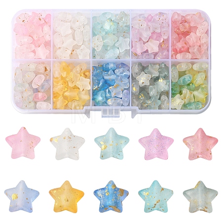 300Pcs 10 Colors Frosted Acrylic Charms OACR-FS0004-09-1