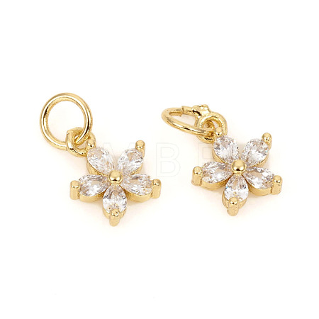 Brass Micro Pave Cubic Zirconia Charms ZIRC-L096-10G-1