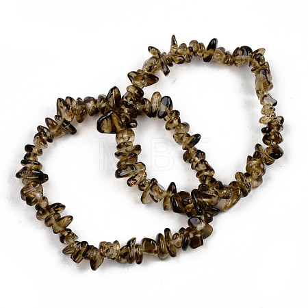Unisex Chip Natural Quartz Crystal Beaded Stretch Bracelets BJEW-S143-36-1-1