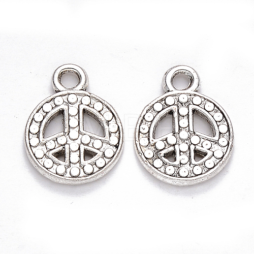 Tibetan Style Alloy Pendants TIBEP-S319-079AS-NR-1