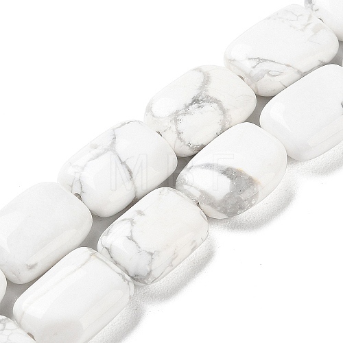 Natural Howlite Beads Strands G-K357-D05-01-1